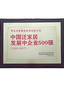 中国泛家居发展中企业500强