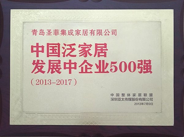 中国泛家居发展中企业500强1